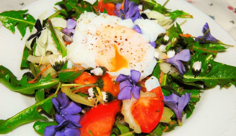 Penzion Eliška Horní Planá